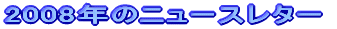 2008�N�̃j���[�X���^�[